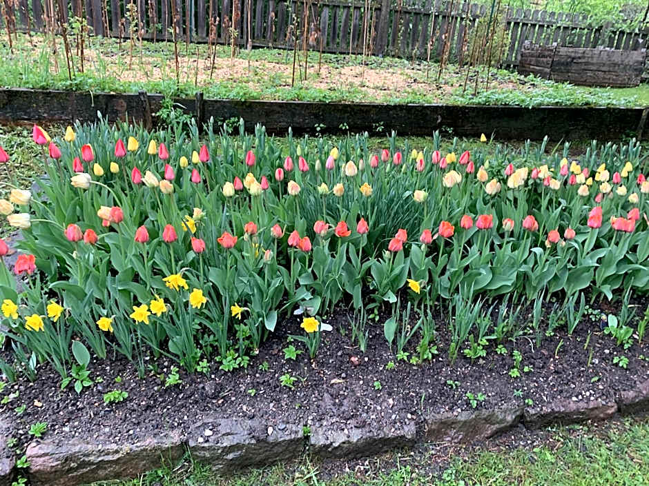 Apartment Hotel Elvis