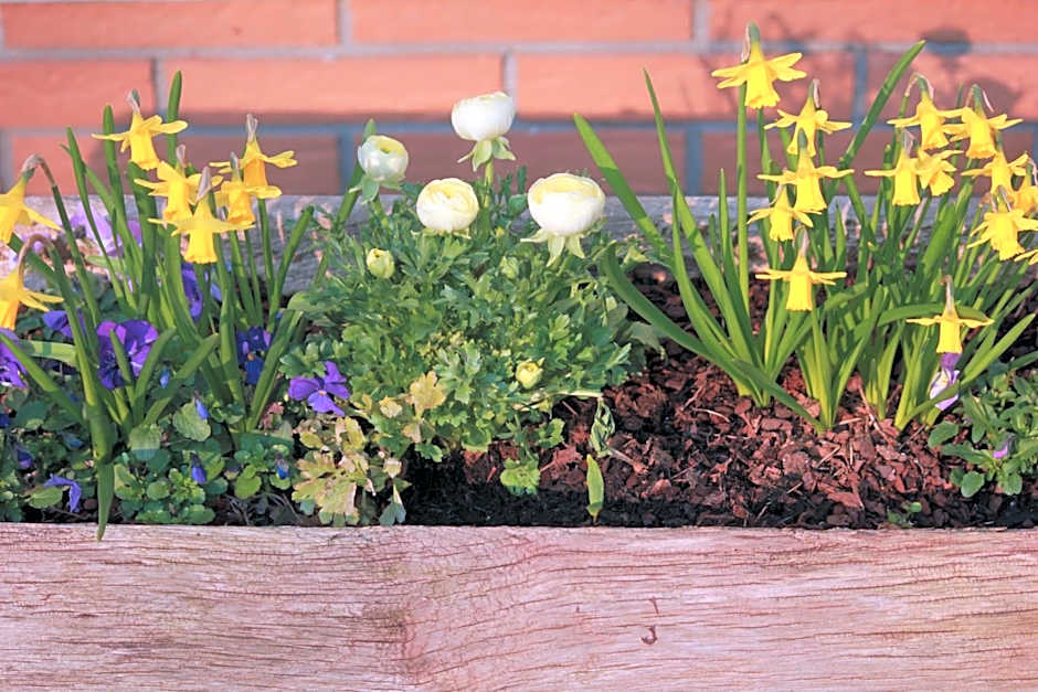 Hotel Pension Haus Stork