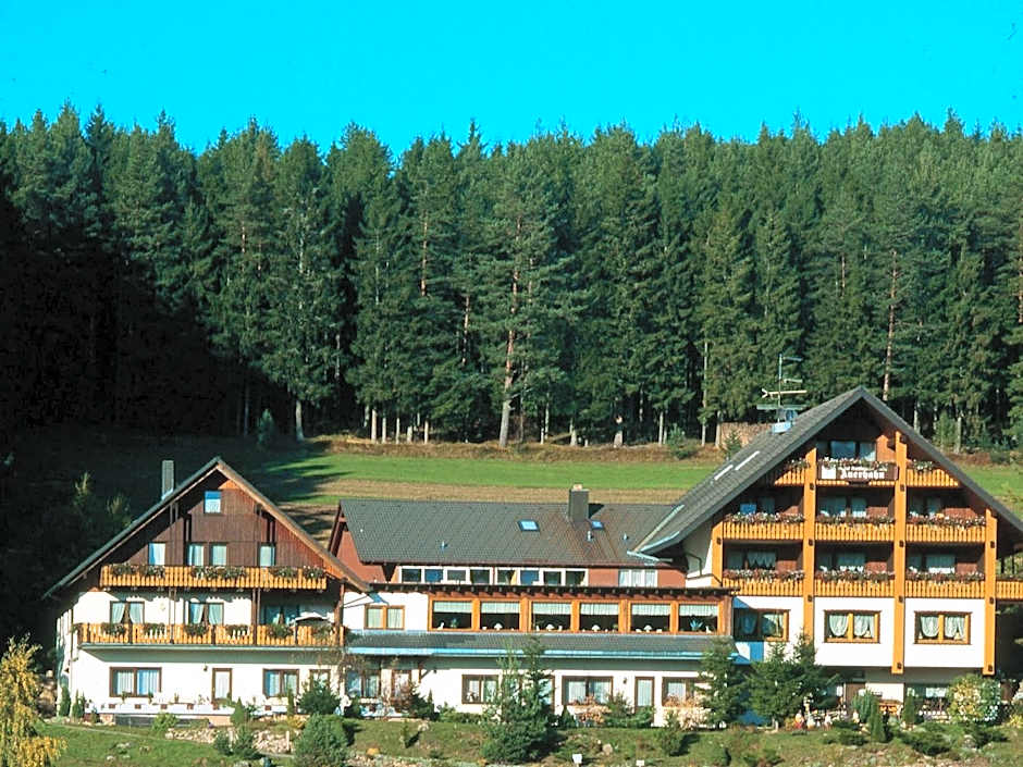 Auerhahn Bed and Breakfast - Black Forest - Waldhotel