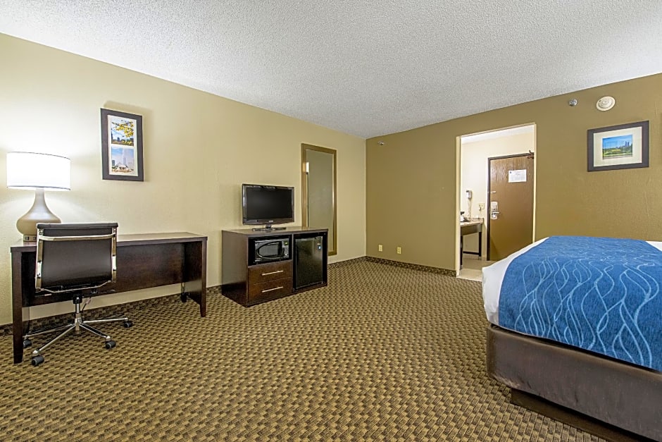 Comfort Inn Matteson