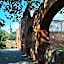 Zamek Sarny - Schloss Scharfeneck