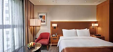 Exquisite Single Room