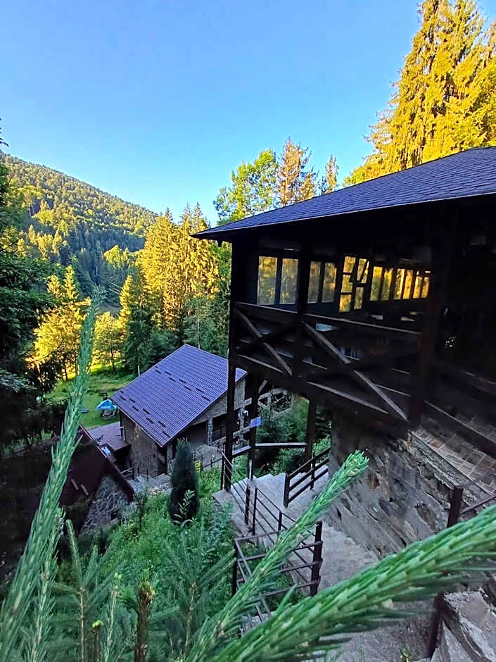 Cabana Zimbru Transfagarasan