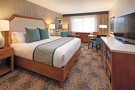 1 King Mobility Accessible with Bathtub