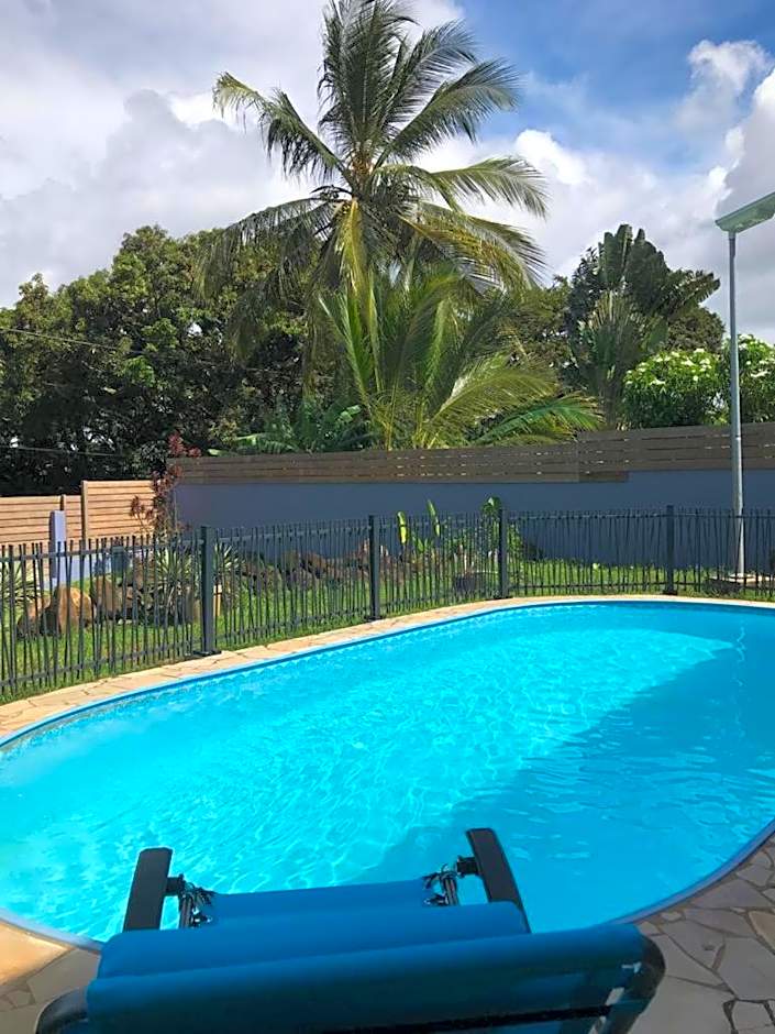 Shikoa Sobole - Le Morpho et l'Ara