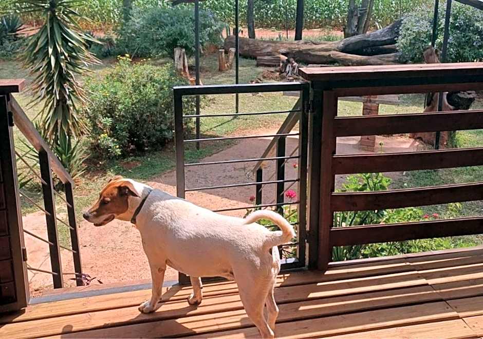Woodland Gardens Self-Catering & Pet-Friendly Lodge