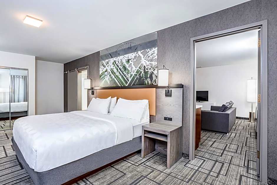 Holiday Inn Lafayette-City Centre By IHG