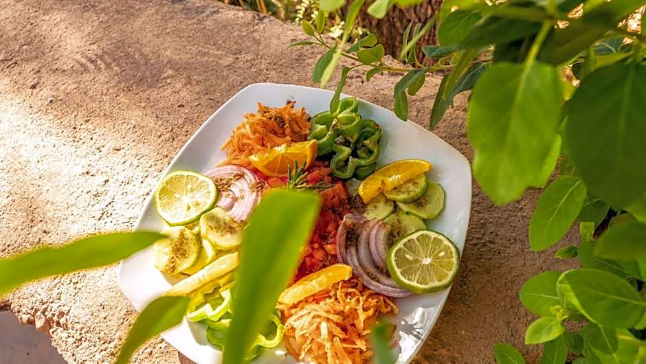 Riad Kasbah des Roches