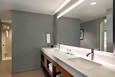 One-Bedroom King Suite with Sofa Bed