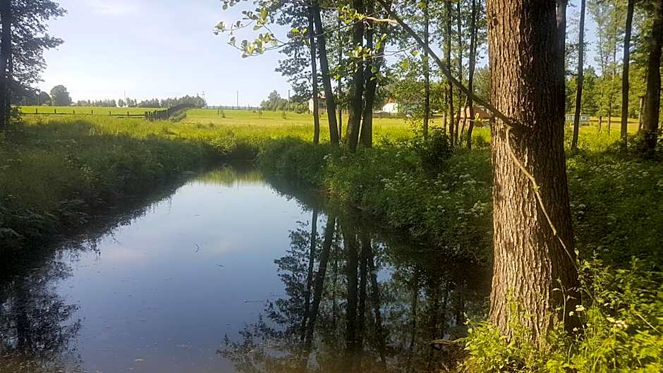 Agroturystyka Perła Gaju