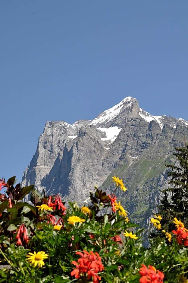 Hotel Gletschergarten