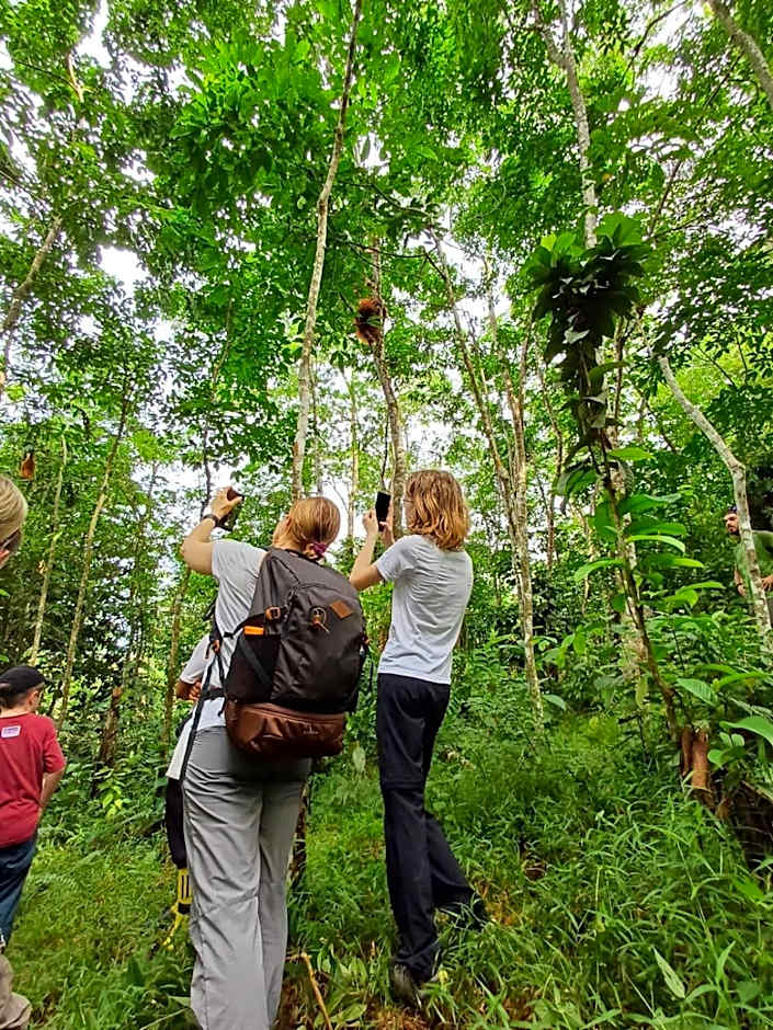 Asim Paris Guesthouse & jungle trekking