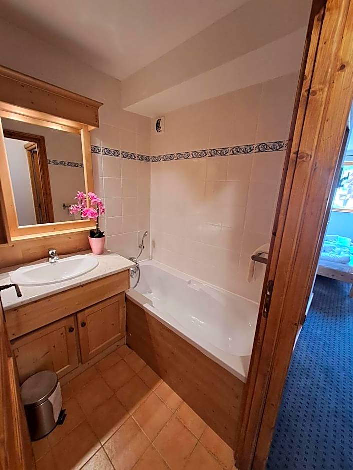 Chalet des Neiges Oz en Oisans