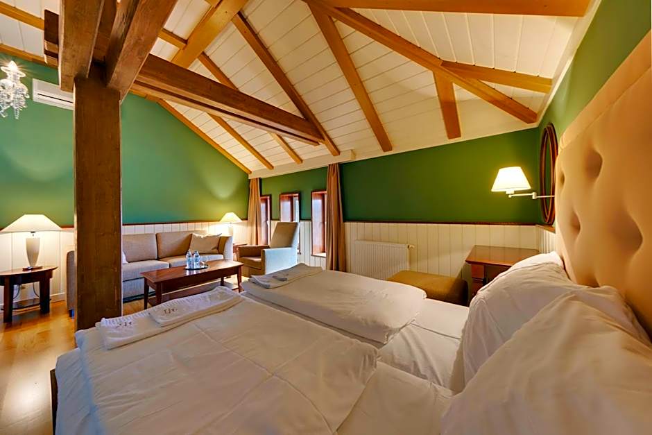 Hotel Torysa
