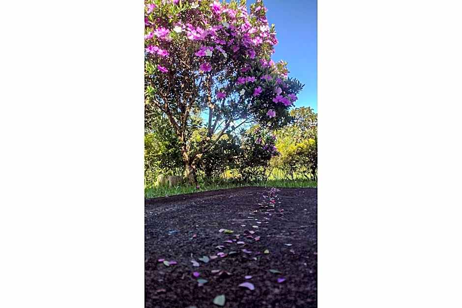Pousada Chalé Terra Viva