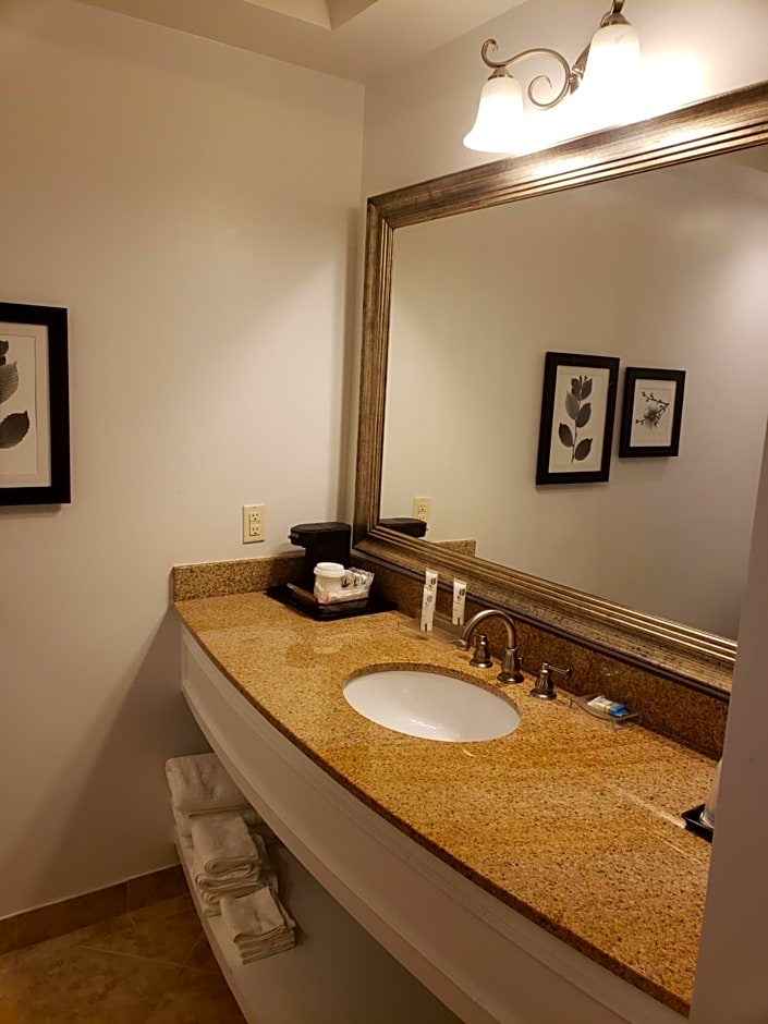 Country Inn & Suites by Radisson, Metairie (New Orleans), LA
