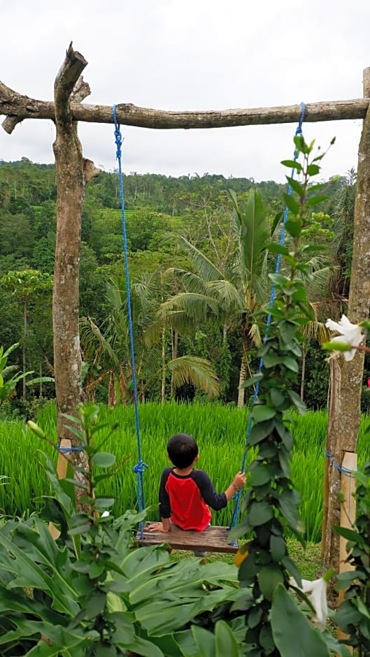 Padi Bali Jatiluwih