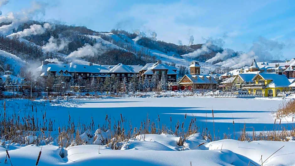 Blue Heart Mountain Studio Dream Walk to slopes, tennis