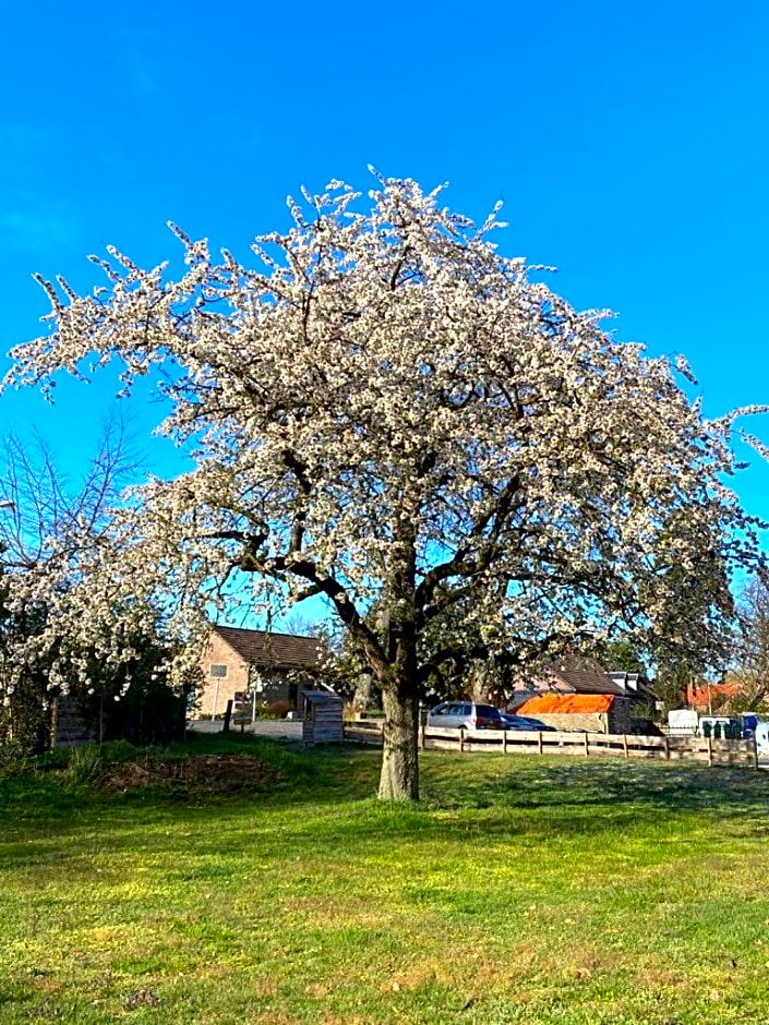 B&B Op de Soursehof