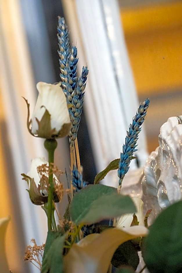 Frederiksværk Hotel