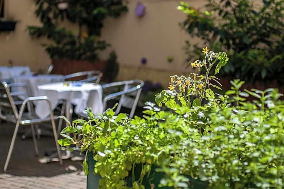 Boutique Hotel Donauwalzer