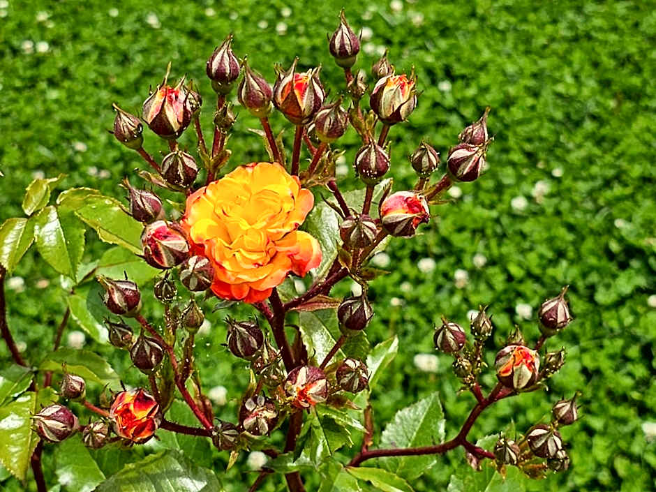 Diamond Beach Sarafovo by KP