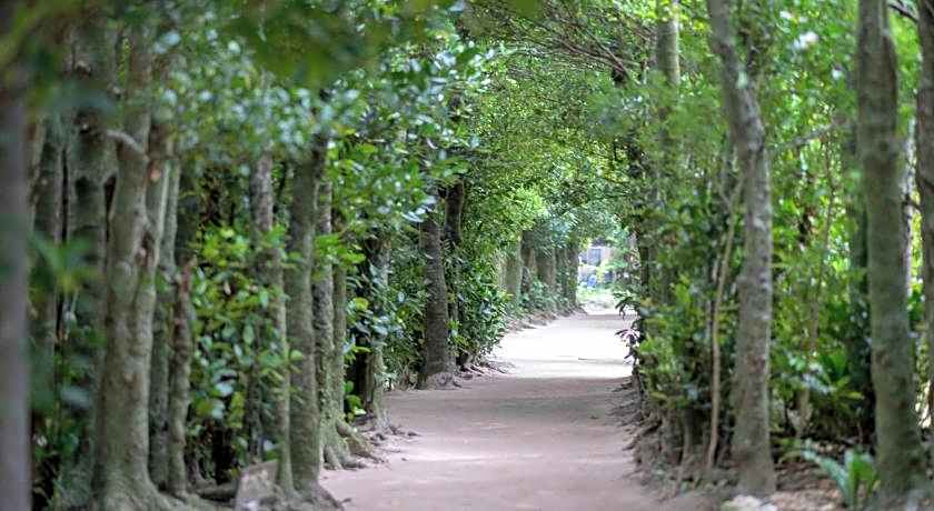 HOTEL Palm Tree Hill