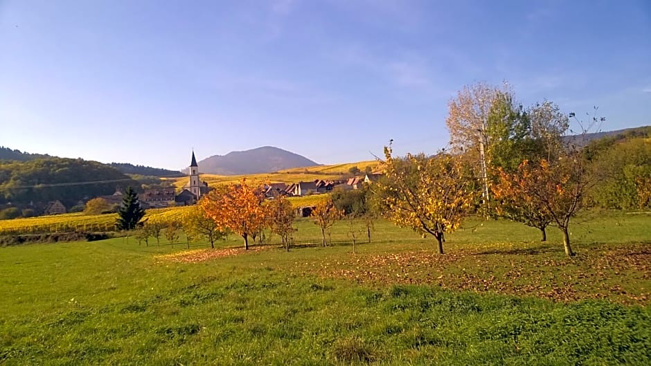 Chez Yolande