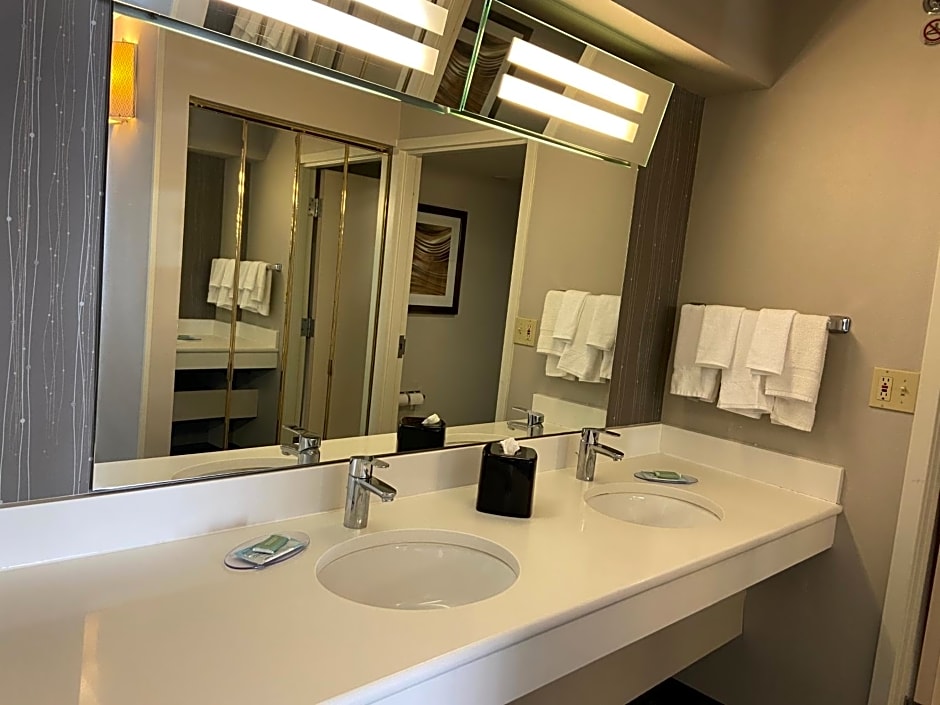 Courtyard by Marriott Detroit Brighton