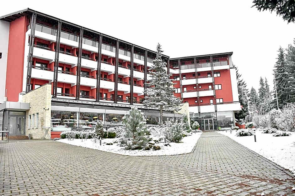 Hotel Carpați