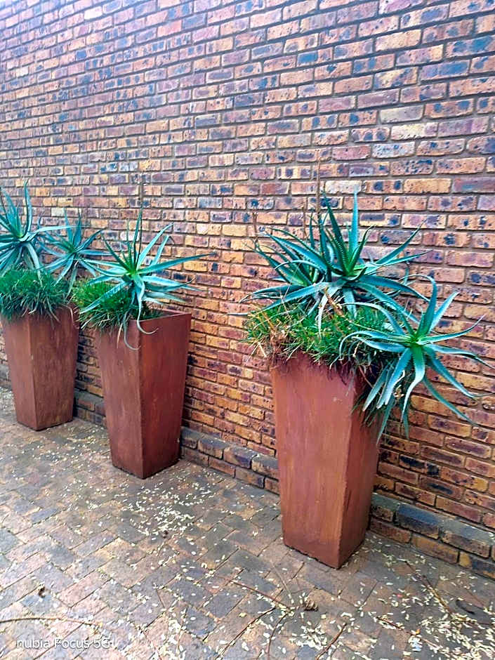 Feather Tree Bed and Breakfast