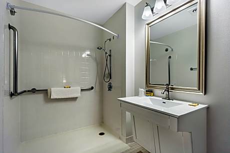 1 Double Mobility Accessible Roll In Shower Work Desk Mini Fridge Wi-Fi NSMK Continental Breakfast