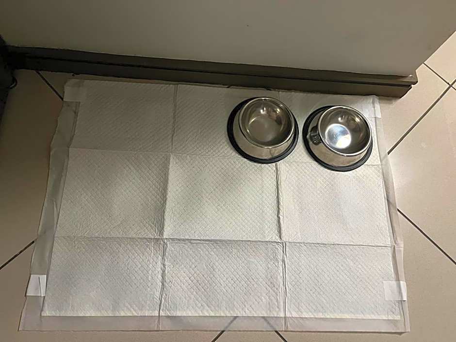 Grand Mercure Belem do Para