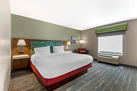 King Room with King Bed - Non-Smoking