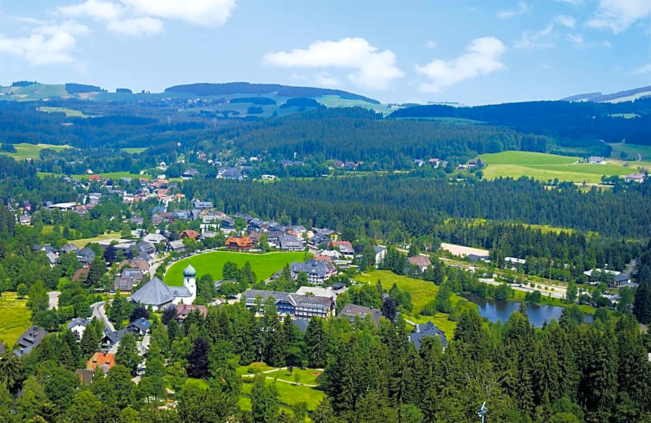 Parkhotel Adler