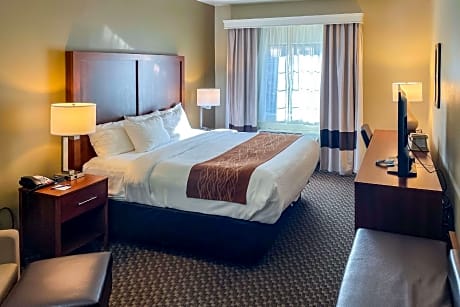 1 Bedroom Accessible