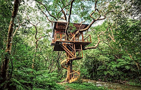 Treeful Treehouse Sustainable Resort