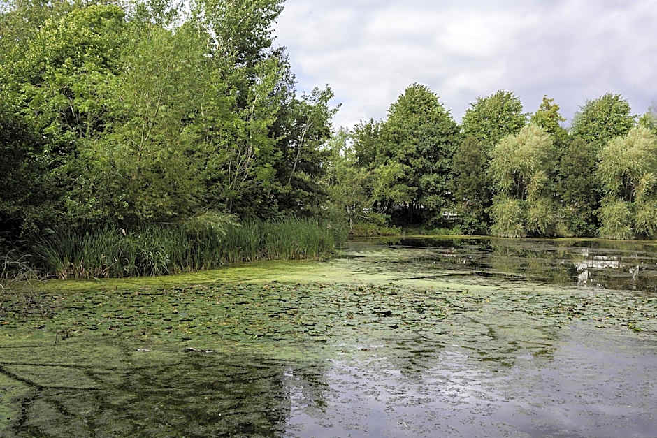 Holiday Inn Express Dublin-Airport By IHG