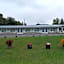 Bay Motel