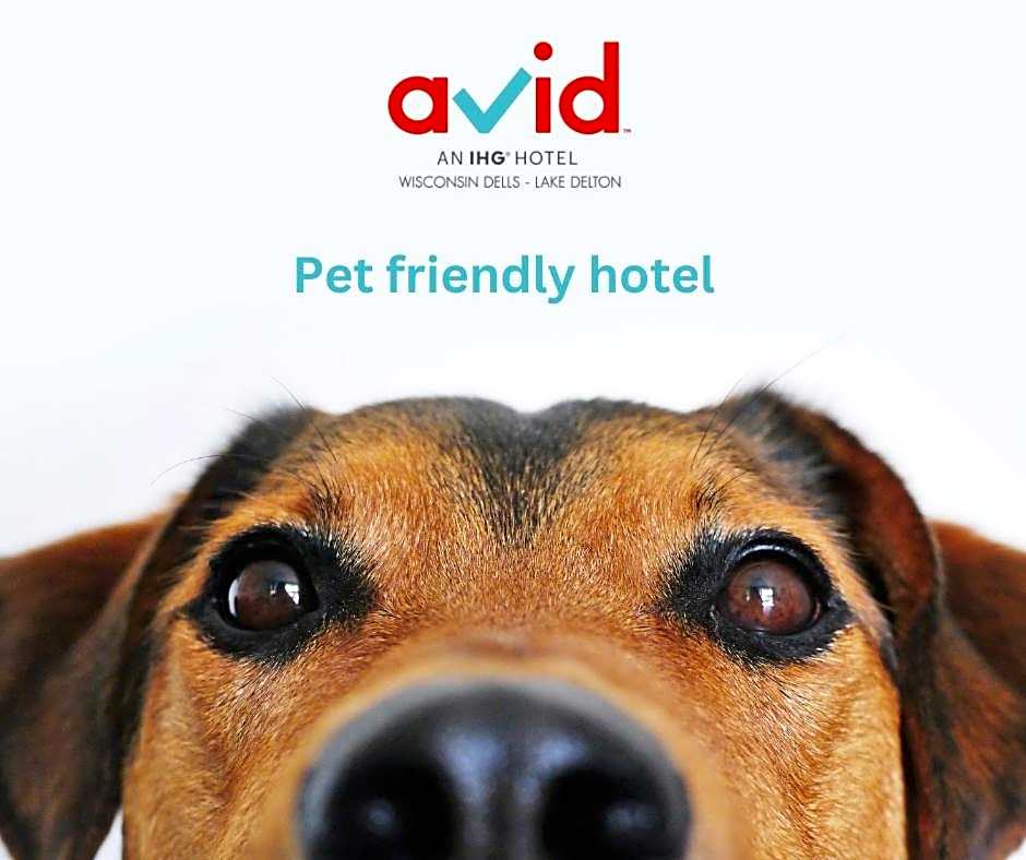 Avid Hotels Lake Delton Dells Area By IHG