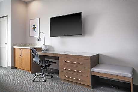 Accessible - 1 King Mobility Accessible Bathtub Sofabed Non-Smoking