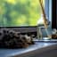 Avoca - 3 Bedroom Holiday Home - Llangennith