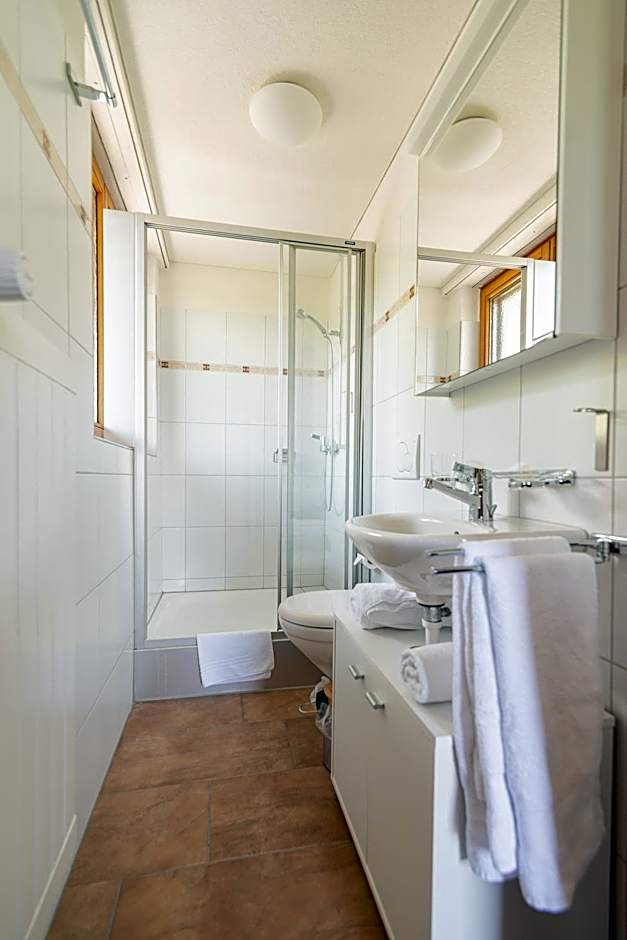 Aparthotel-Almgasthaus Gemsli - A bisal Österreich überm Schweizer Rheintal