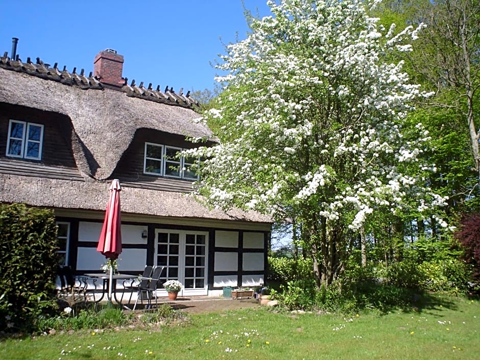 Ferienlandhaus Steinfeld