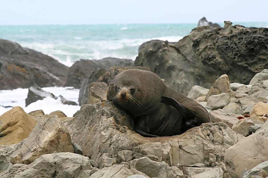 Bella Vista Motel Kaikoura