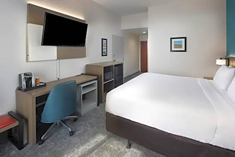 1 King Bed, Suite, Nonsmoking