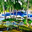 Casa Velas Adults Only All Inclusive