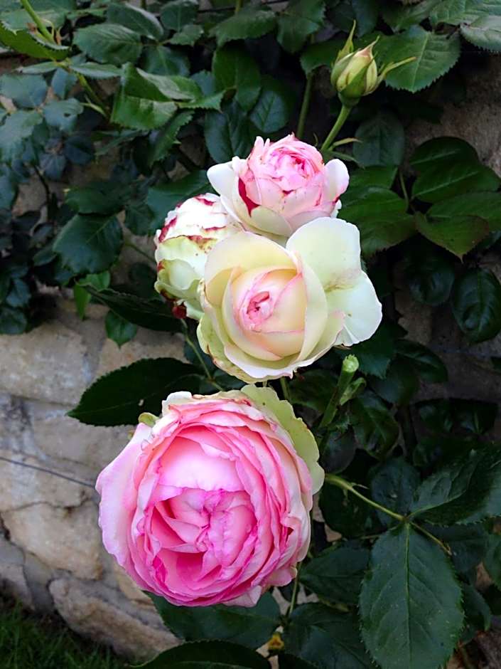 Chambres d'hôtes Kayros