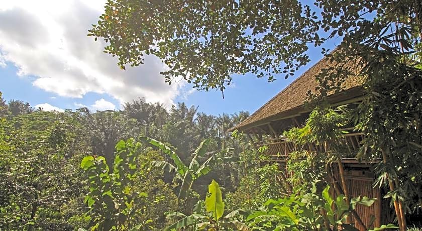 Alassari Plantation