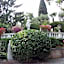 Park Hotel Ville Montefiori